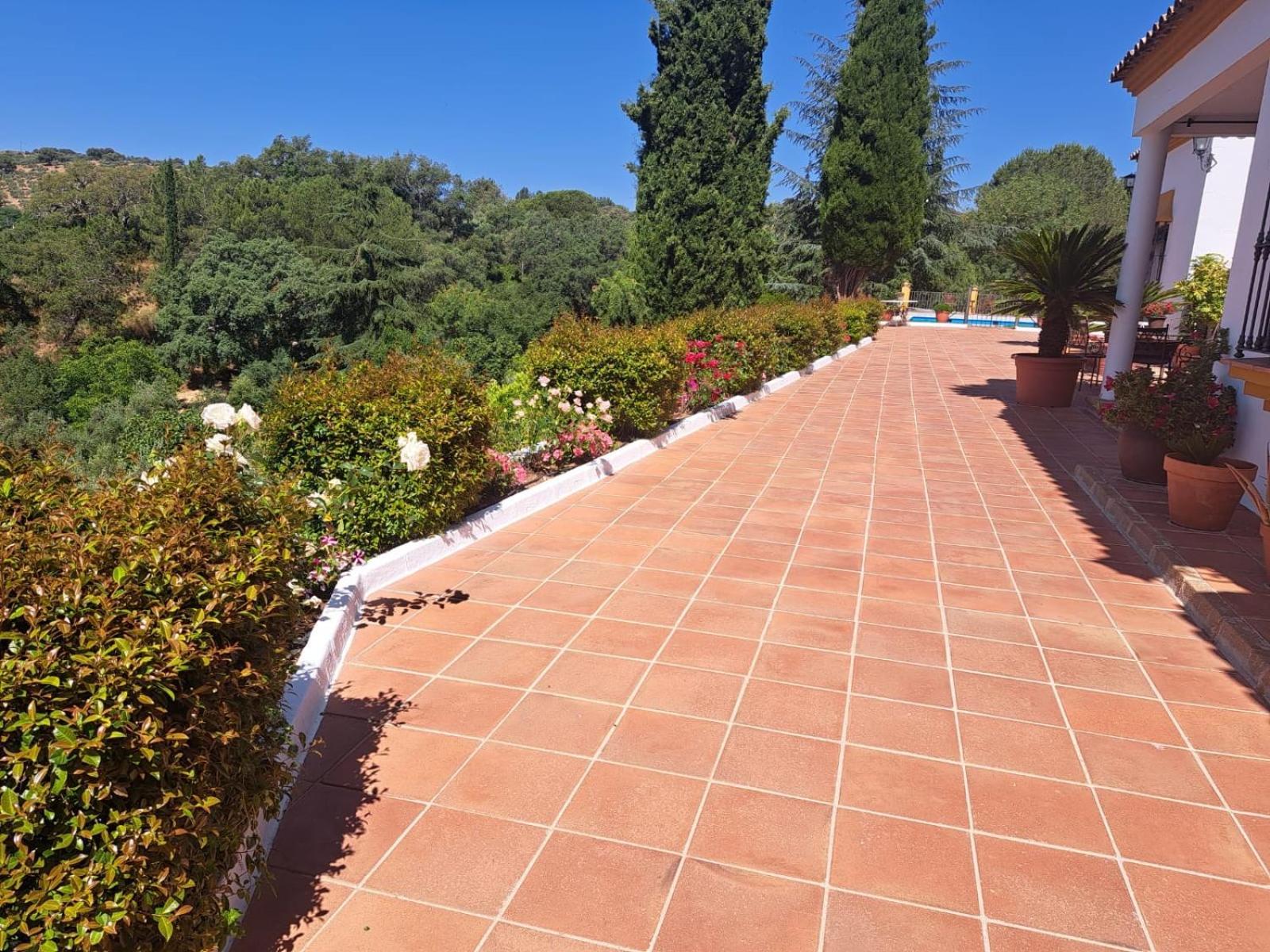Casa Rural Villa Manuela Cazalla de la Sierra Extérieur photo