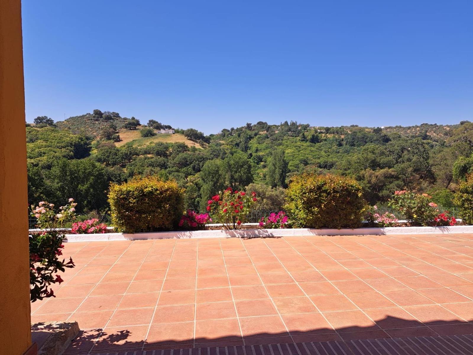 Casa Rural Villa Manuela Cazalla de la Sierra Extérieur photo
